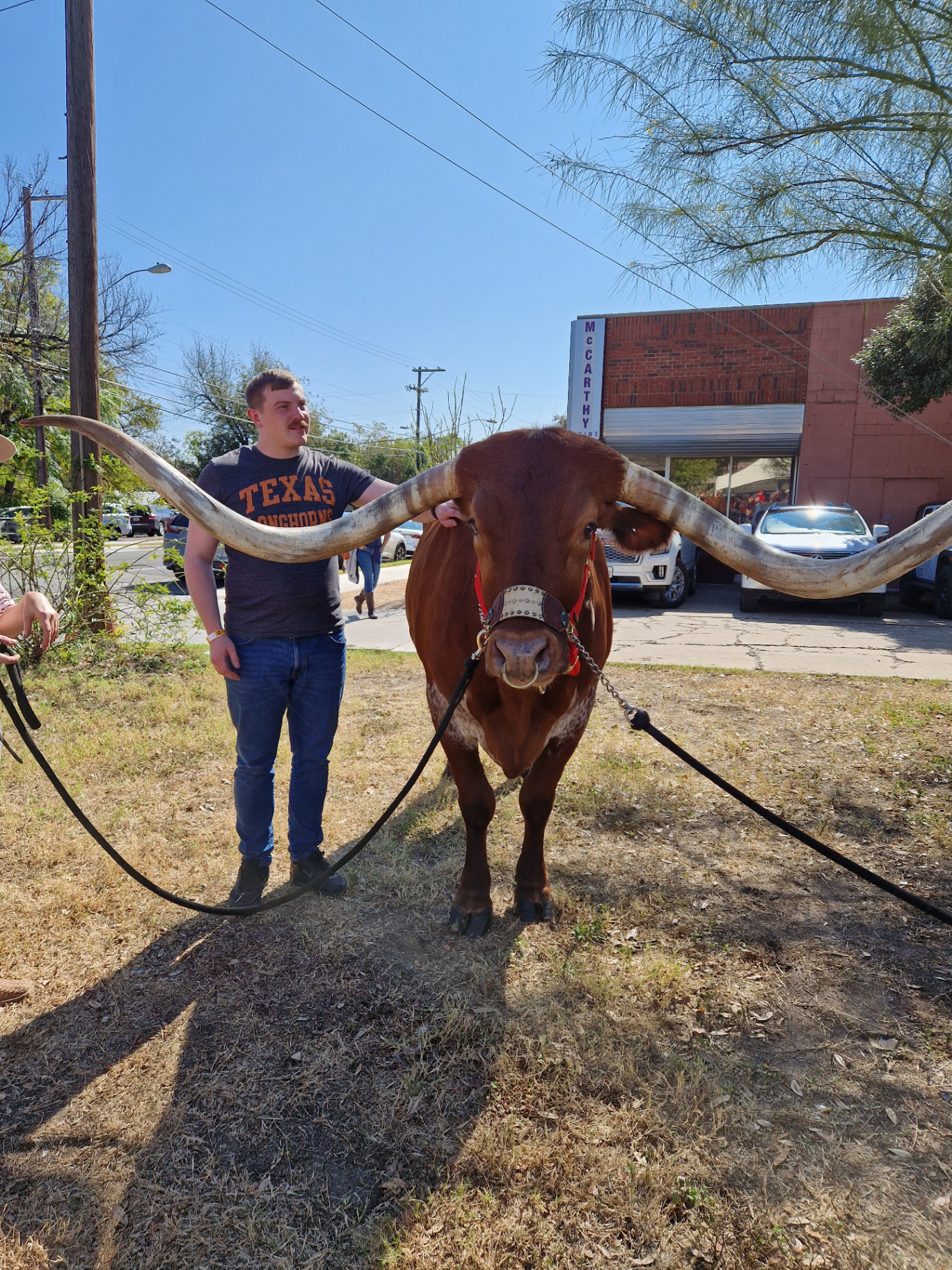Nils with a Texas Longhorn